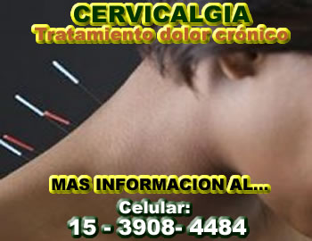 Acupuntura Zona Sur